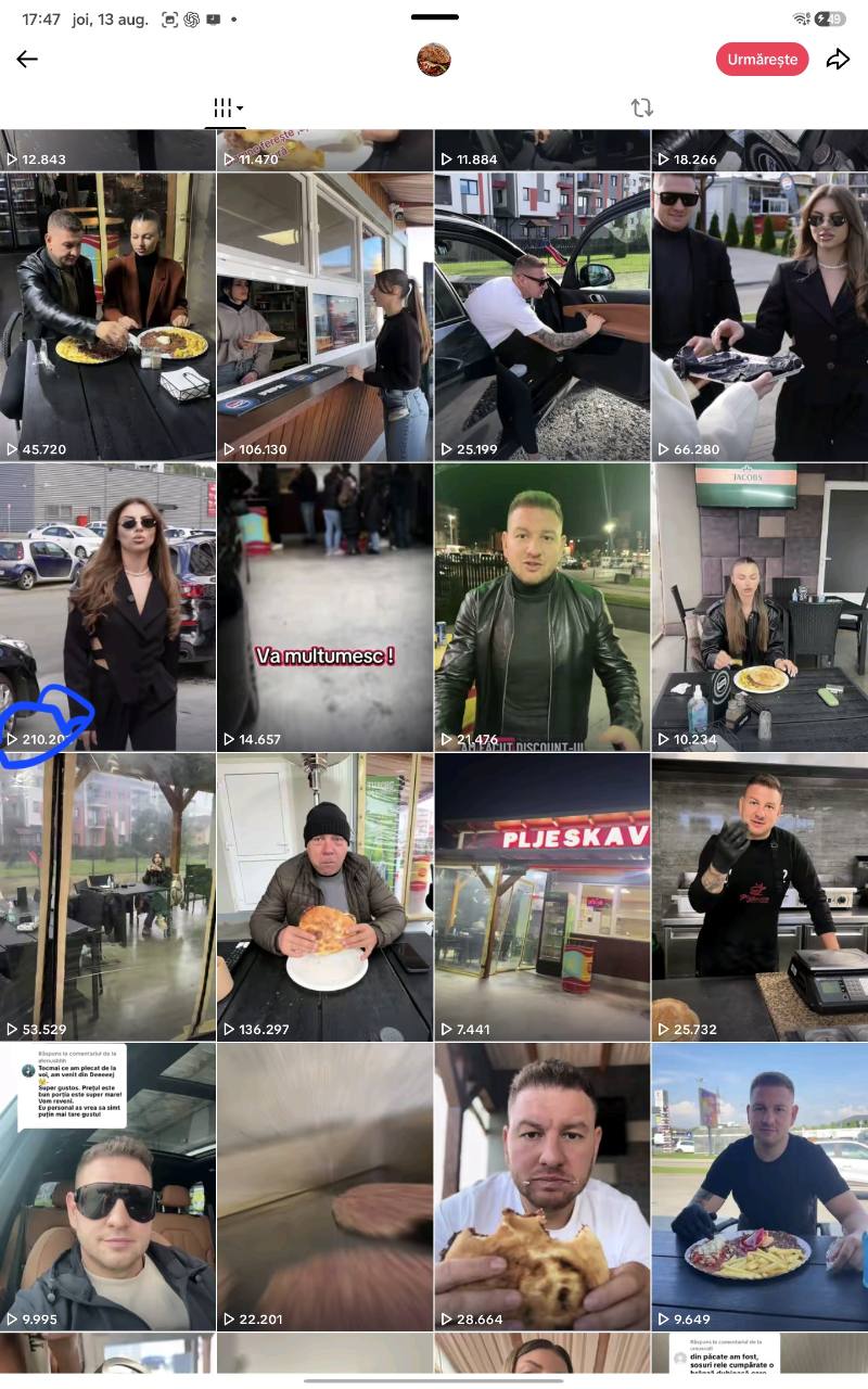 Captură cu rezultate TikTok de până la 210.200 vizualizări